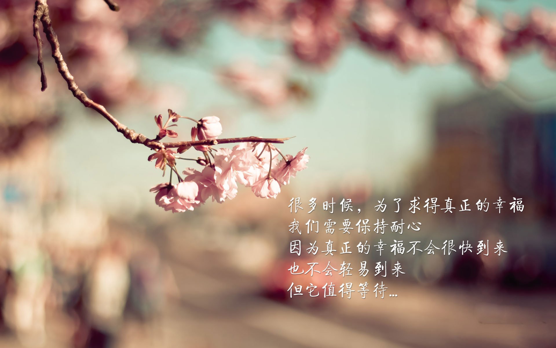 _运动装备大比拼:最新科技球拍与鞋类推荐_,有什么球拍