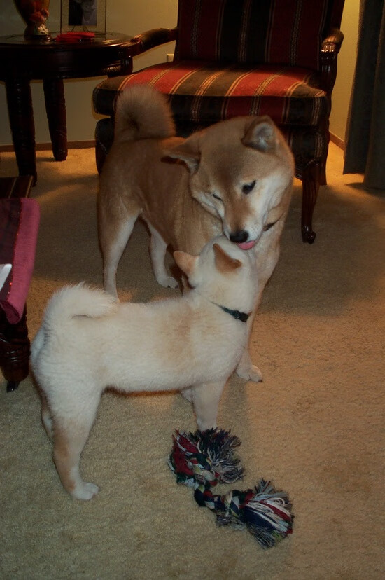 今年联盟三分球命中率前十队伍表现亮眼！，2020三分球命中率排行榜