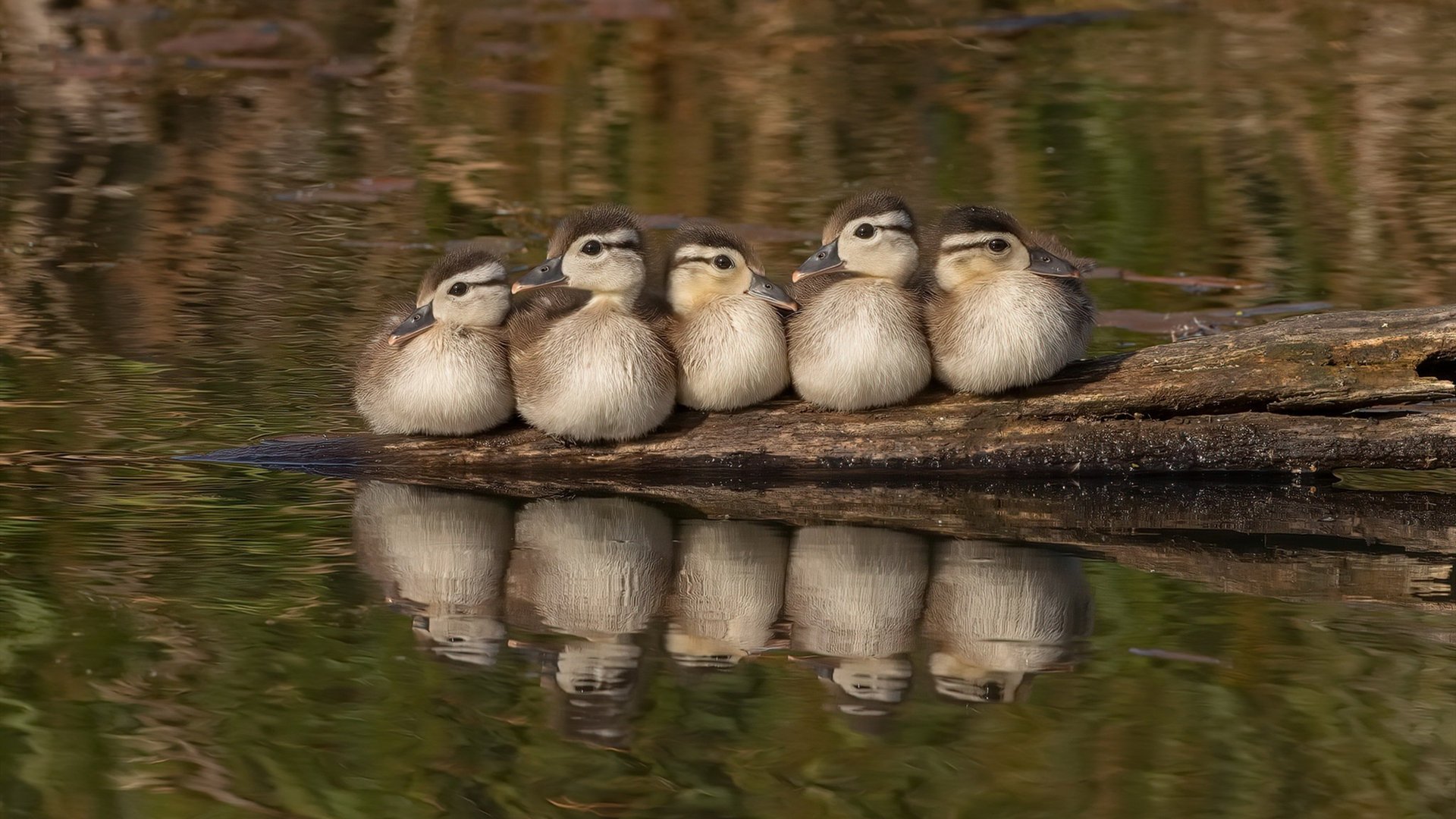 【比赛策略】丁俊晖：如何在关键局巧妙使用攻防战术？，丁俊晖打法